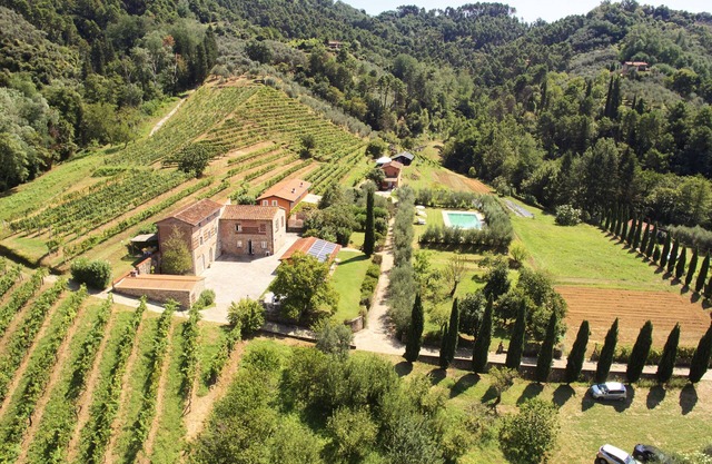 Farmhouse La Gianna - House in the hills - Beach club in Viareggio included
