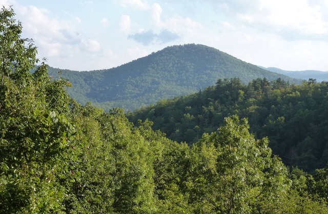 Farside CabinnSecluded mountain top getaway with mountain views & rustic charm