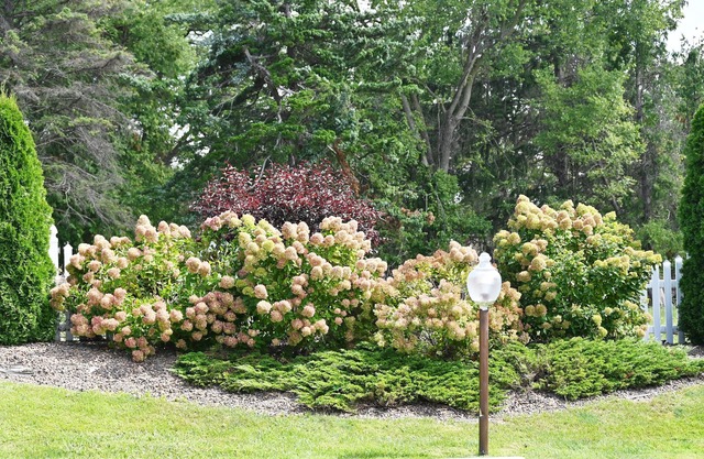 Fellows Creek Lodge