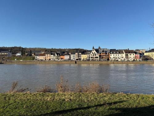 Ferienhaus-am-Moselufer