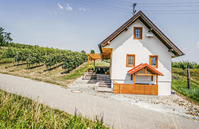 Ferienhaus Gaas Weinberg