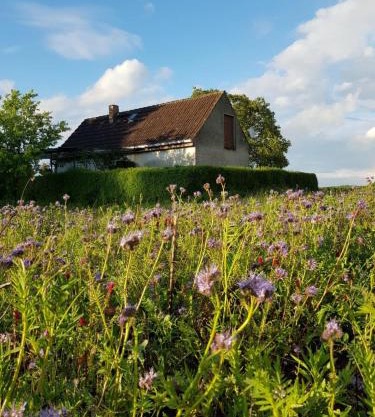 Ferienhaus Gransee unmittelbar am Stechlinsee - Radweg