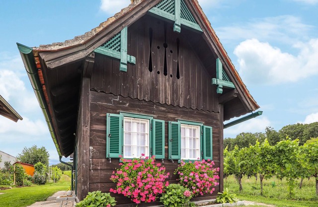 Ferienhaus im Suedburgenland