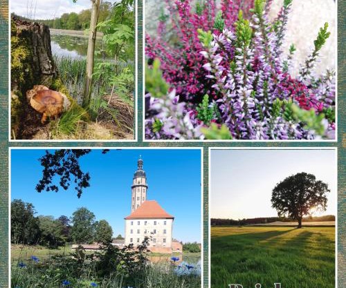 Ferienhaus Waldblick