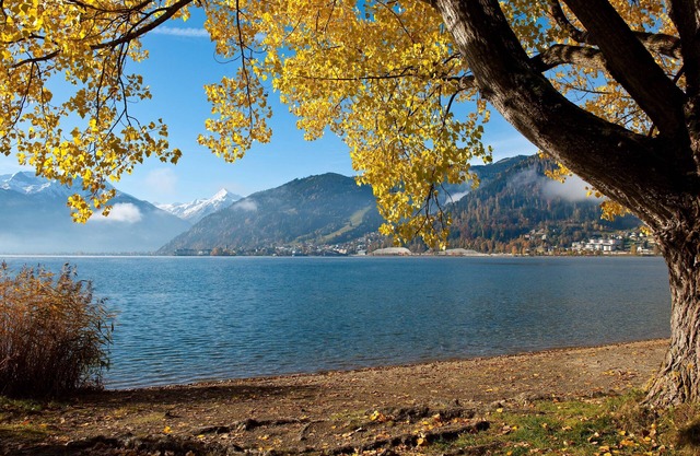 Ferienhaus12 Personen bei Zell am See Sauna Pool EG Rollstuhlgängig