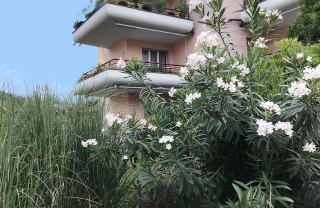 Ferienwohnung/app. für 4 Gäste mit 65m² in Caslano