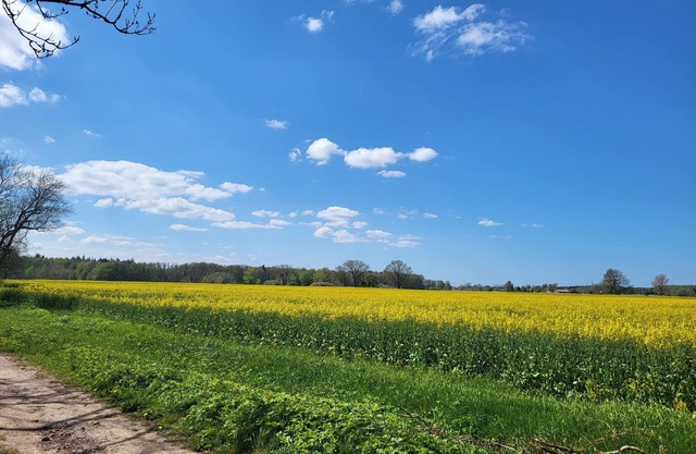Ferienwohnung Nähe Ostsee