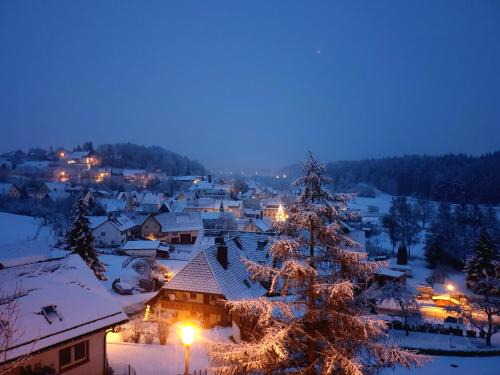 Ferienwohnung Naturpark Schwarzwald