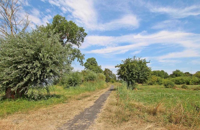 Ferienwohnung Rechlin SEE 9791