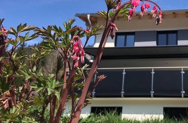 Ferienwohnung Wallner - Appartement/fewo, Dusche, WC, 1 Schlafraum