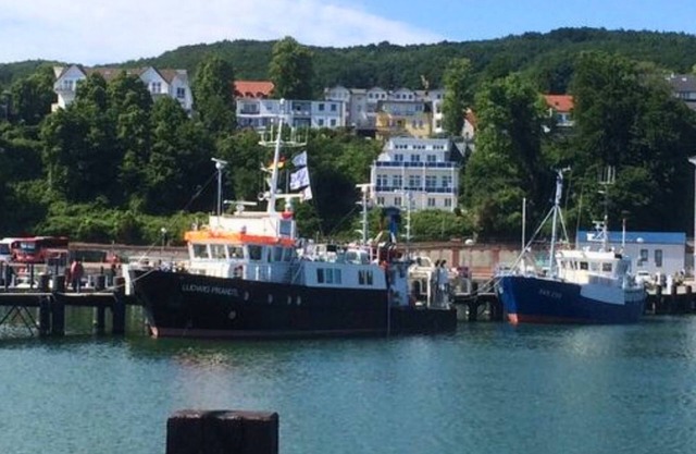 FeWo im Hang direkt am Hafen, 6 Betten
