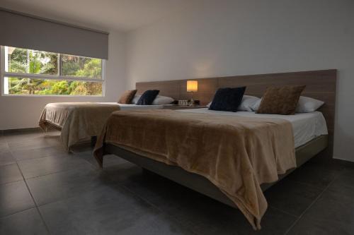 Finca hotel NUEVO FUTURO
