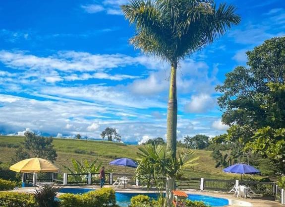 finca hotel palmas frente a panaca