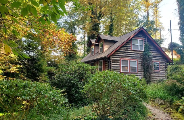 Firefly Cabin-1930's Retreat: Bikes, BBQ, walk dtn