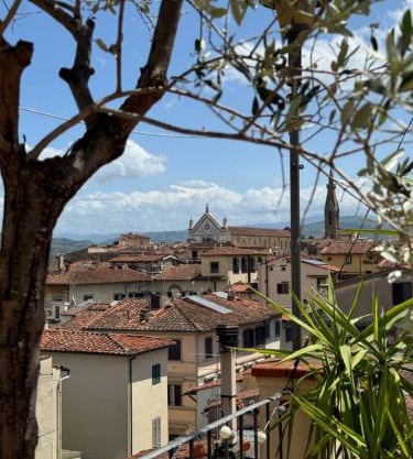 Firenze panorama Suite & terrace