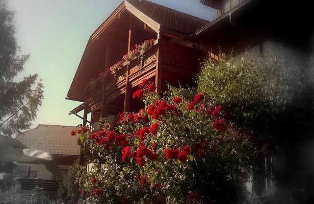 Fischerhaus - Appartement/fewo Direkt am See