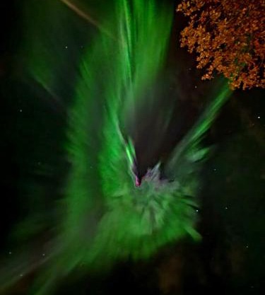 Fishermens House, romslig ferieleilighet nær sjøen Medby Senja