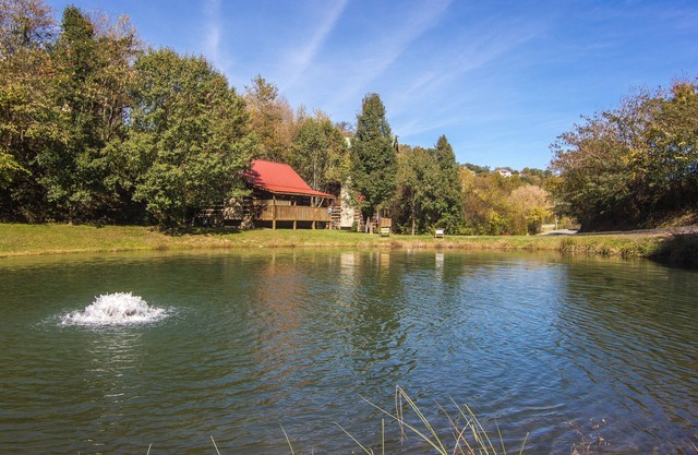 Fishing Pond, Wifi, Corn Hole, Easy Roads, Hot Tub, Fire Pit, Dog Friendly!