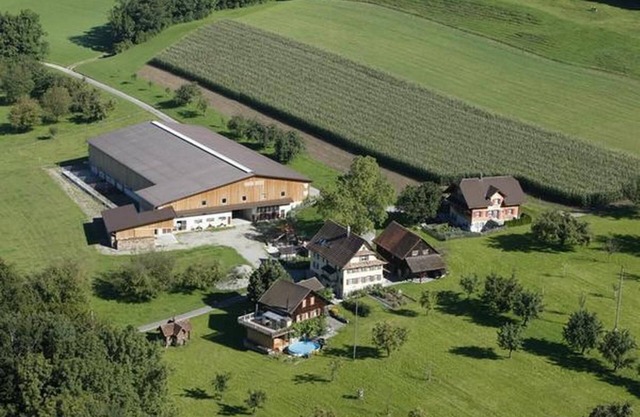 Flat "Fohrenhof" on the farm