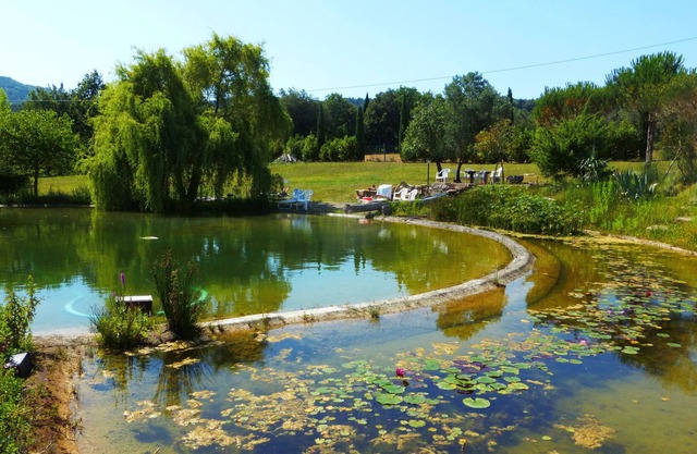 Flat in an old manor house with a swimming pond and large grounds