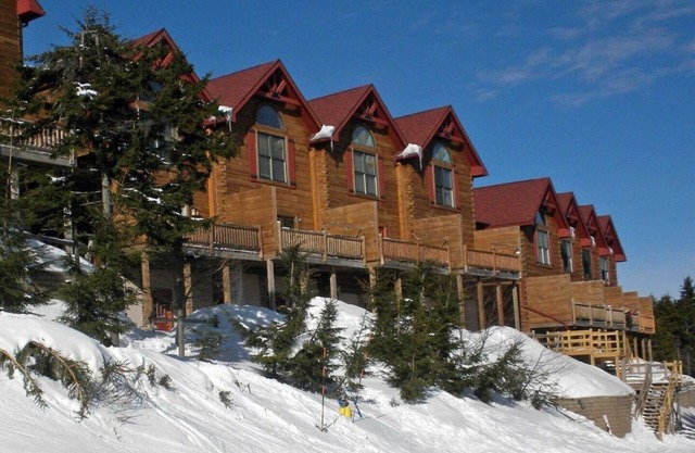 FlumeFloIandO - Ski-in & Ski-out chalet!, A True Ski-in/out @ Snowshoe