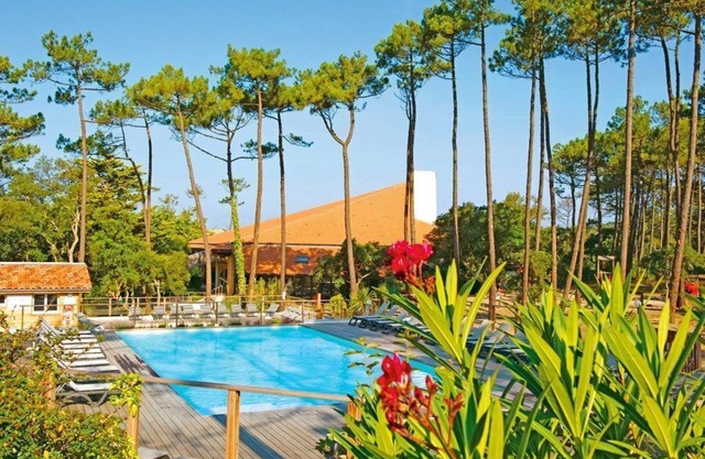 Forêt et Océan | Appartement Abordable!