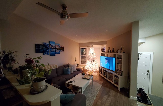 For a lady only Room in NW Calgary
