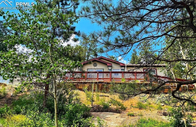 Forest cabin on 4 acres, Newly renovated, Quiet and secluded.
