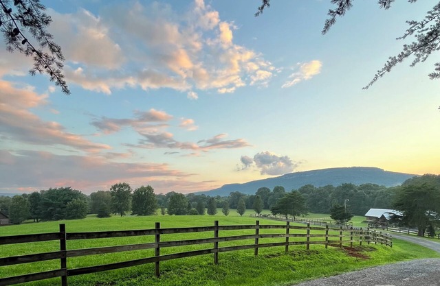 "Fox View Cottage" Breathtaking Views, Pet-Friendly, Wheelchair accessible!