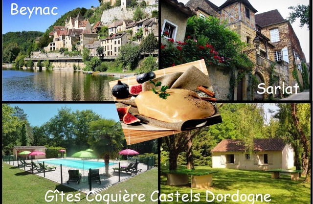 Furnished houses for 5 people in Castels Périgord Noir