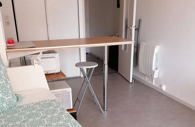 Furnished studio with balcony, downtown