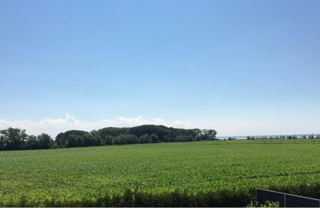 Gästehaus Lüßvitz