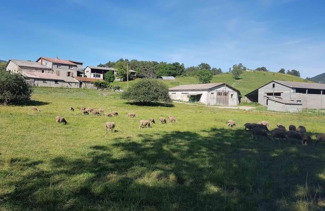Gîte des Millets en Baronnies
