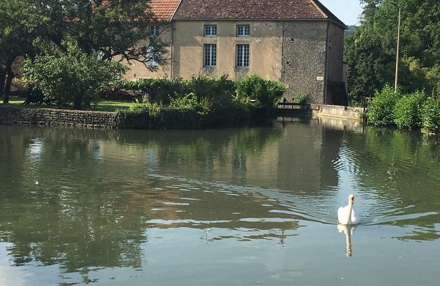 Gîte en Bourgogne,. Dans Ancien Moulin , Jardin Privatif et vue sur le Bief