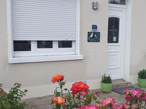 Gîte urbain avec jardin clos et animaux admis, à proximité des châteaux de la Loire - FR-1-491-343