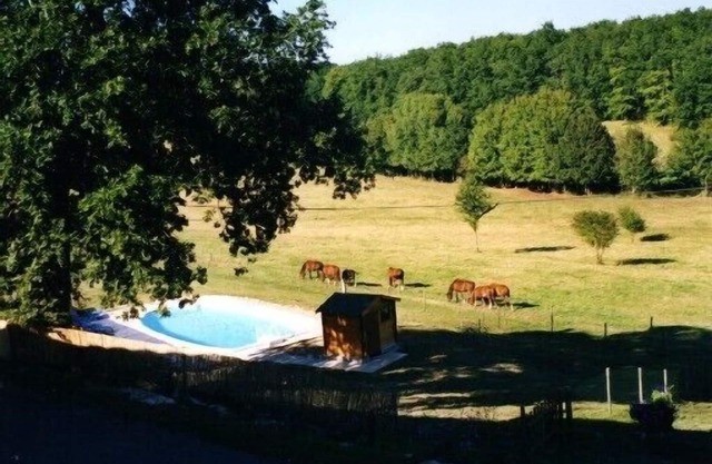Gîte viticole Château Tourmentine 14 pers/piscine/ideal for groups and friends/campagne