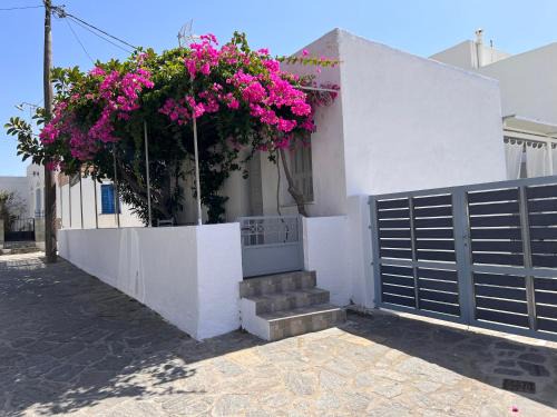 Gala Home Traditional house