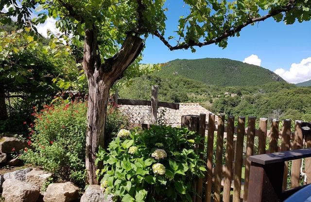 Garden in the Taravo Valley