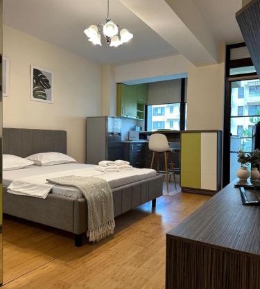 Garsoniera in Copou lângă Parhon IRO