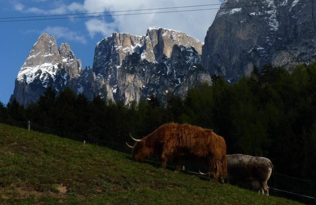 Gasthof Albergo Kreuzwirt