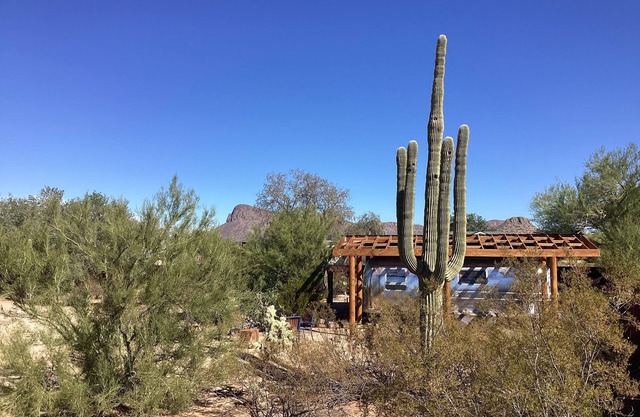 Gateway to Saguaro National Park - Desert Solitaire - Vintage Lola