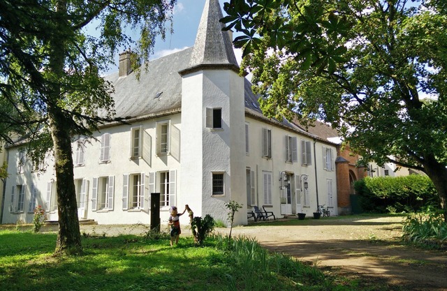 Geek Castle in Seurre: 30 beds, 12 bedrooms, arcade terminals and pinball machines