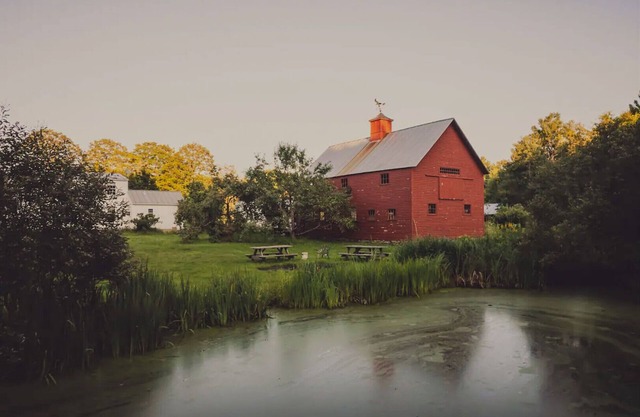 Genuine Farm! - The Homestead at Winterfound Farm