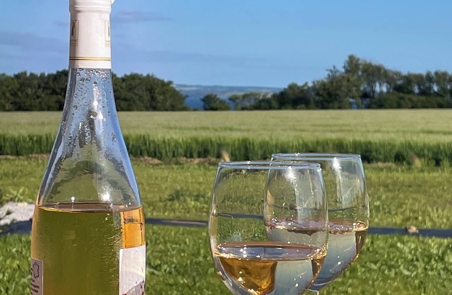 Gîte Armann with view of the Bay of Douarnenez