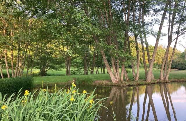 Gîte in the middle of nature with river and wood views in the Morvan region of France