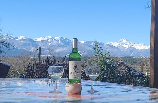 Gite in the woods with breathtaking views of the Pyrenees.