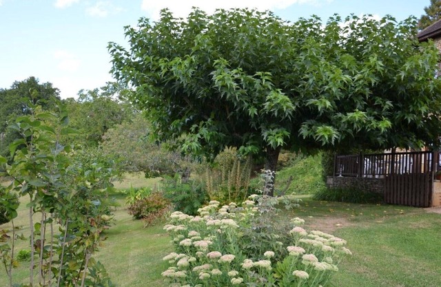 Gite LES CYPRES - QUIET WITH VIEW OF THE SURROUNDING CAMPAIGN
