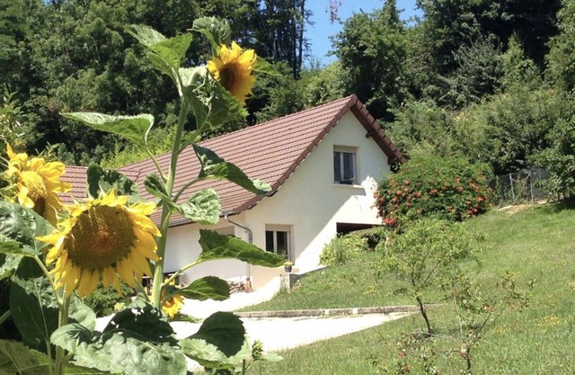 Gîte Les Isles - Along the river, between Seille and vineyards