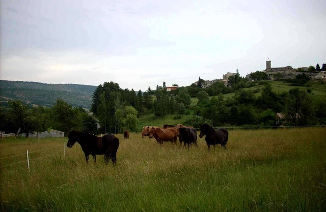 GITE PROVENCE LUBERON, PACA REGION