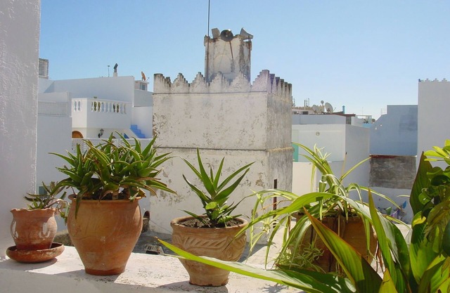 GIVE AMIR. ASILAH. Morocco.
